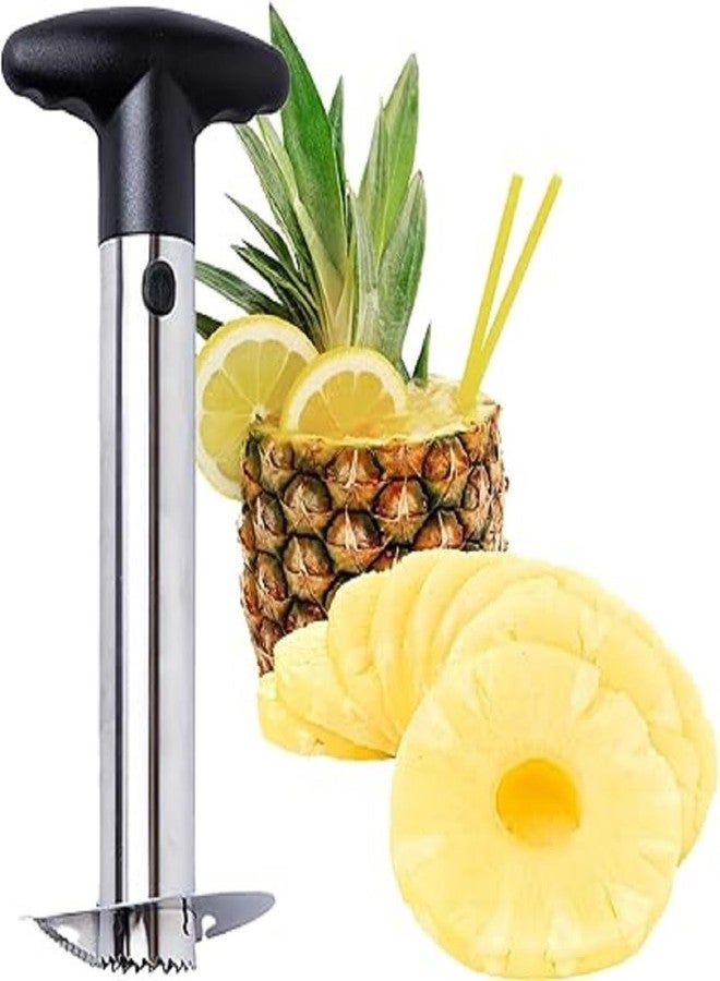 N M Z Stainless Steel Pineapple Peeler/Pineapple Cutter and Fruit Peeler Corer Slicer/Easy Kitchen Tool Stainless Steel Fruit Pineapple Peeler (1 Pc) - Image 1